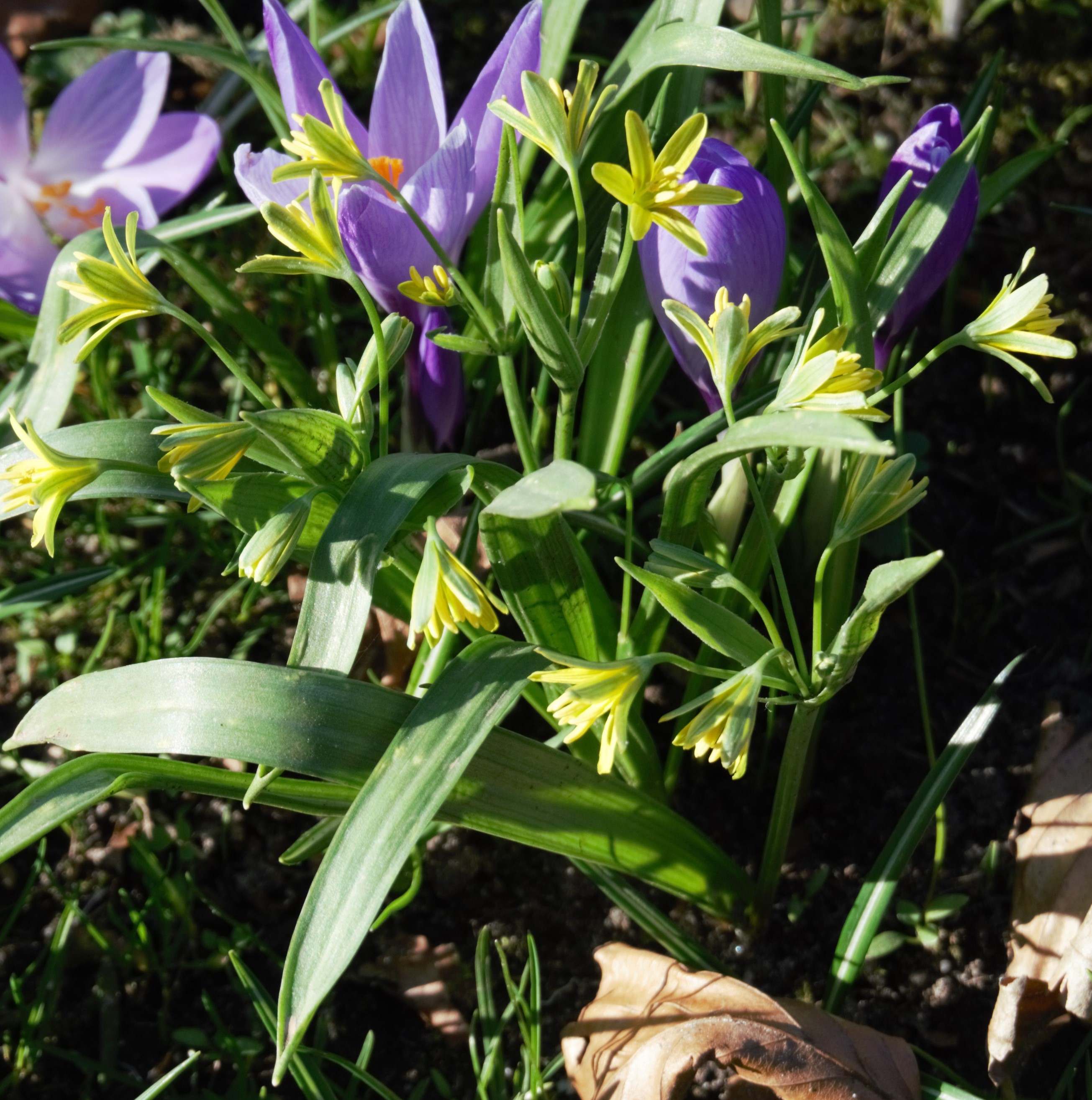 Frühling